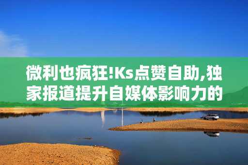 微利也疯狂!Ks点赞自助,独家报道提升自媒体影响力的秘密：Ks点赞工具全揭秘！-第1张图片-孟州市鸿昌木材加工厂